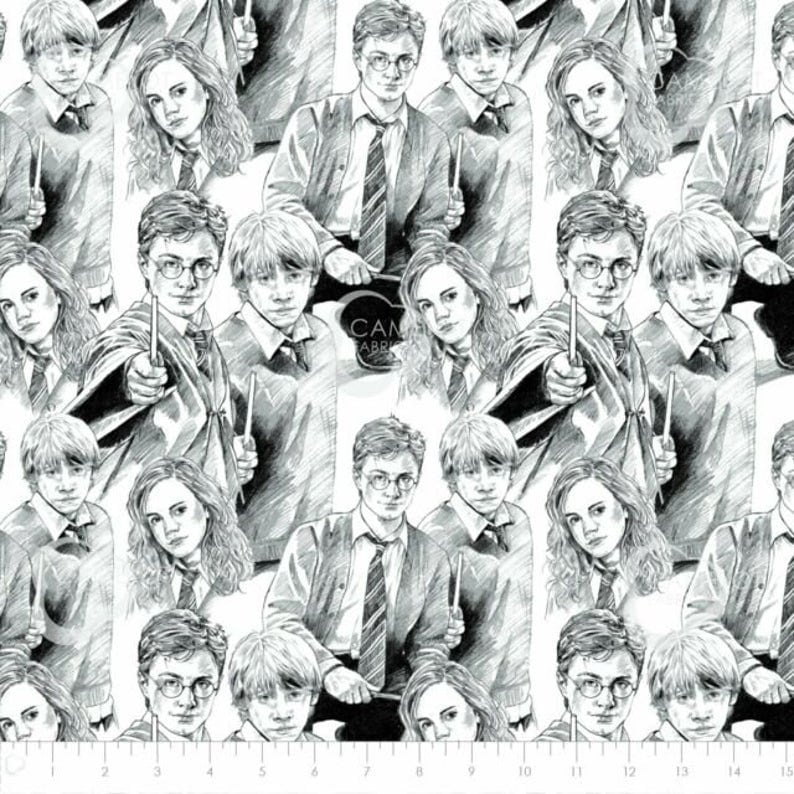 Harry Potter Wizarding World Harry Potter Sketch Hermione Ron