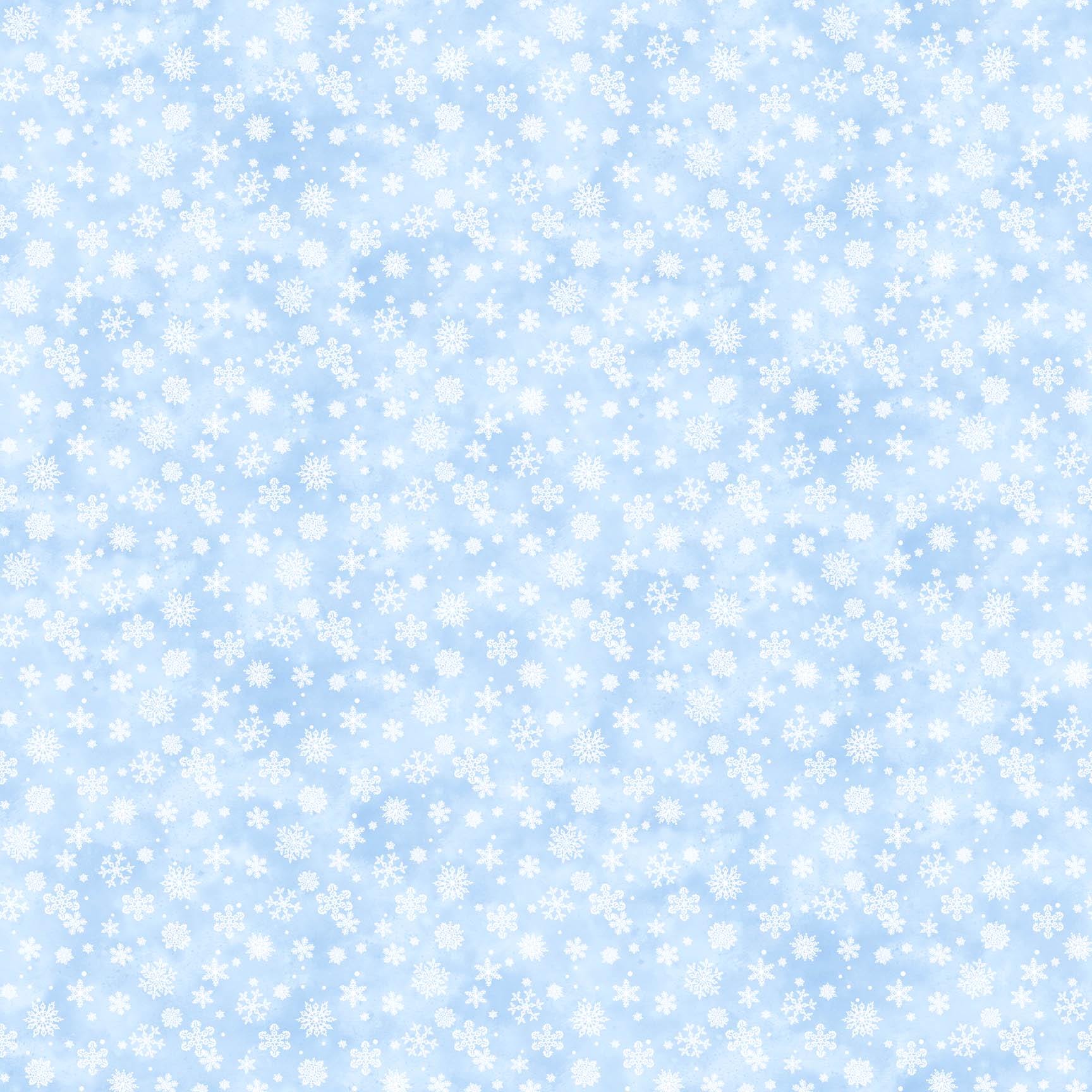 Northcott St. Nicholas 28218-42 Christmas fabric 100% cotton