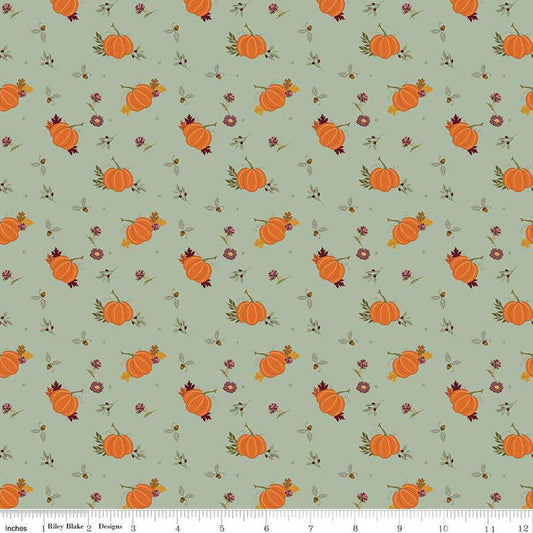Riley Blake The Awe of Autumn Pumpkins Hazy C16192-HAZY 100% cotton with free digital pattern