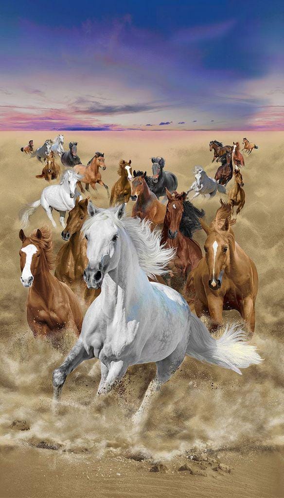 Timeless Treasures collection Running Horses with coordinates 100% Cotton fabric