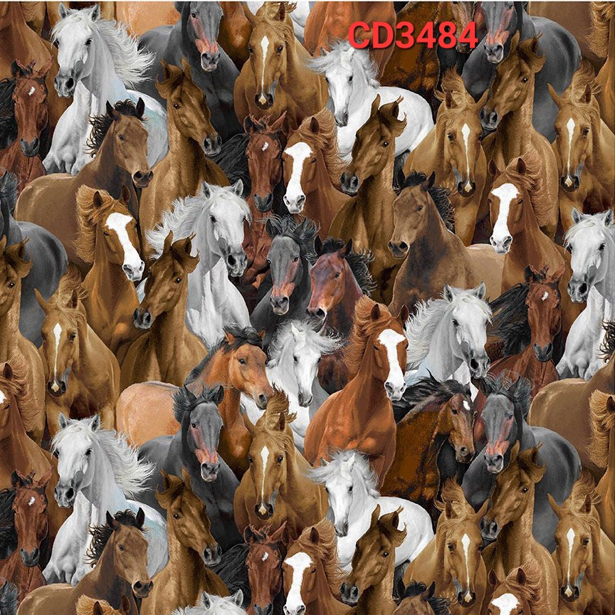 Timeless Treasures collection Running Horses with coordinates 100% Cotton fabric