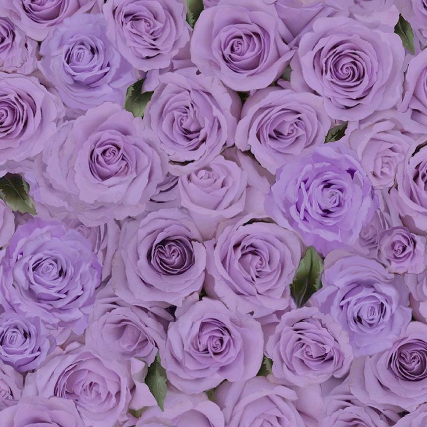 At Last Roses Purple Timeless Treasures Packed Roses FLEUR-CD2370 PURPLE from the Love Lett ...
