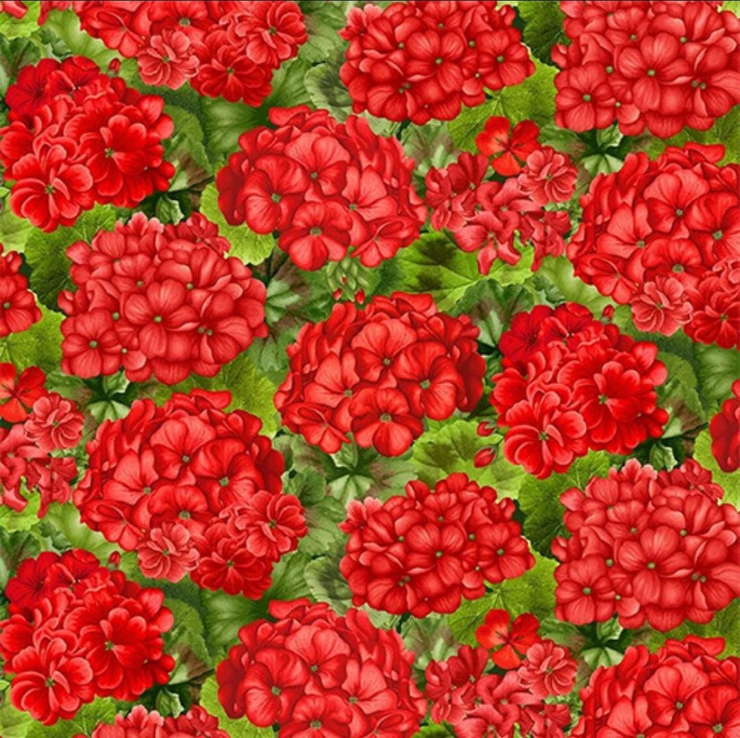 Timeless treasures scarlet beauty packed geranium with leaves CD3183  100% Cotton fabric