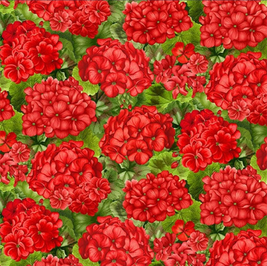 Timeless treasures scarlet beauty packed geranium with leaves CD3183  100% Cotton fabric