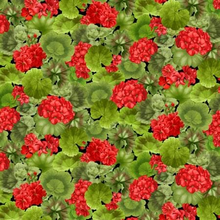 Timeless treasures scarlet beauty  geranium with leaves CD3184 100% Cotton fabric