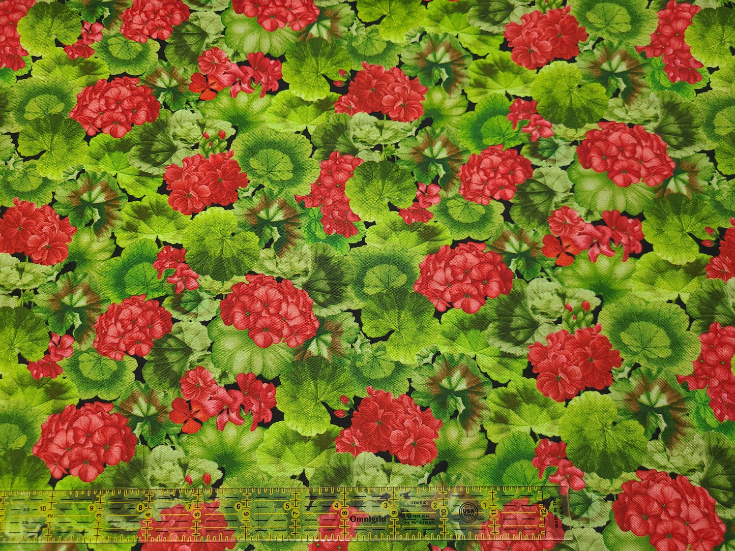 Timeless treasures scarlet beauty  geranium with leaves CD3184 100% Cotton fabric