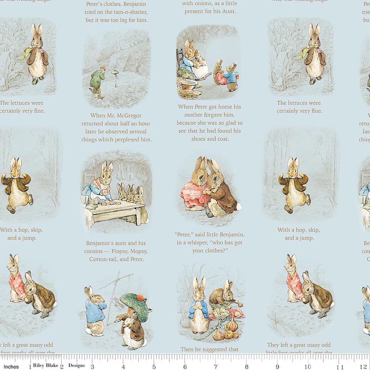 Peter Rabbit™ and Benjamin Bunny™ Story Time CD17252-BLUE from Riley Blake 100% cotton fabric